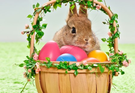 Easter basket - eggs, basket, holidays, special days, Easter, bunny