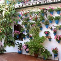 Cordoba's Secret Gardens