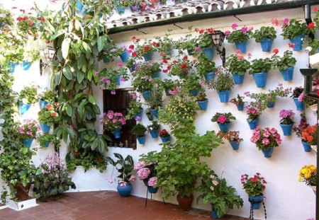 Cordoba's Secret Gardens - flowers, cordoba, nature, garden