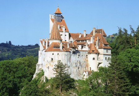 Bran Castle ~ Romania - blue, romania, medieval style, bran castle, forest, tree, white, roof, green, sky