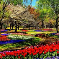 Colorful Garden Park