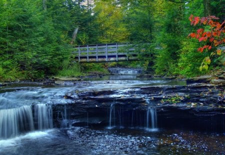 Forest Creek - trees, water, stones, rocks, bridge