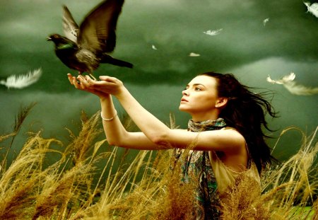 FREEDOM - freedom, field, girl, bird