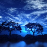 Island Mist