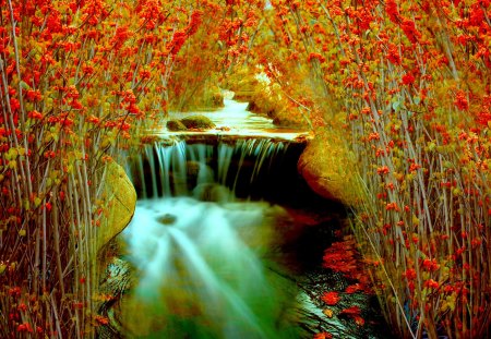 AUTUMN RIVER FALLS - waterfalls, autumn, bush, river