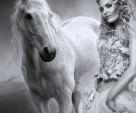 She and white horse