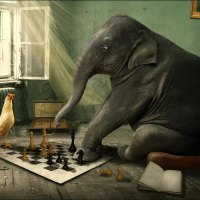 elephant chess