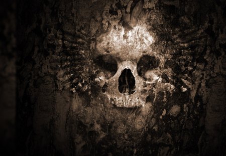 skull - fantasy, skeleton, darkness, wallpaper, skull