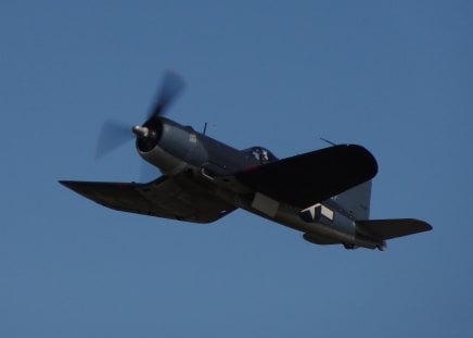 Corsair Belly - plane, wwii, corsair