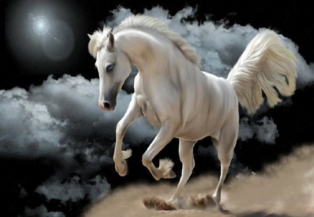 White Beauty - moon, sky, abstract, horse, clouds, animals, fantasy