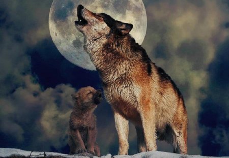 Mom Teaching Pup to Howl - wolf, moon, animals, dogs, pup