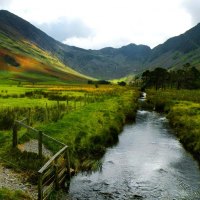 Mountain stream