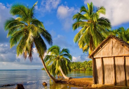 Tropical landscape - summer, coast, beach, landscape, reflection, shore, exotic, palm trees, nice, hut, sky, breeze, palms, water, beautiful, vacation, sea, lovely, ocean, rest, tropics, wind, nature, tropical