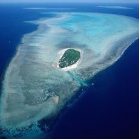 heron island