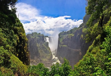 waterfalls - waterfalls, tree, mountain, river