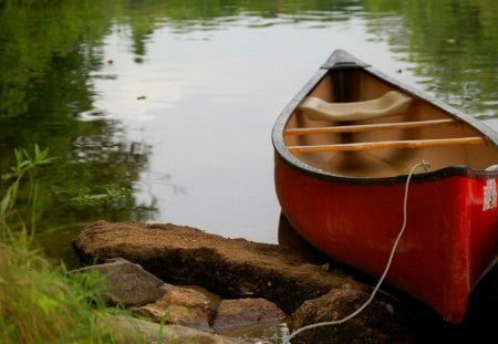 Lonely boat - nice, lake, riverbank, water, summer, shore, lovely, nature, pretty, lonely, reflection, walk, beautiful, river, grass, boat