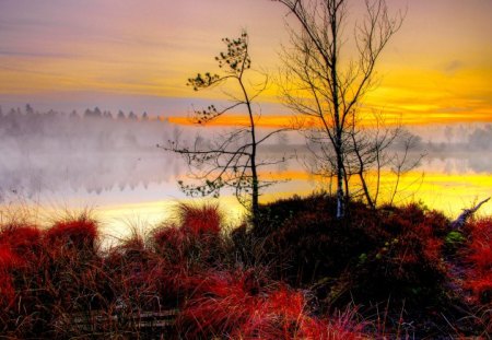 EVENING MIST - lake, nature, mist, sunset