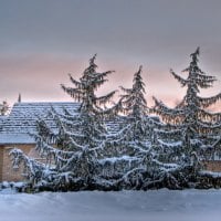 First light on a frosty winter morning