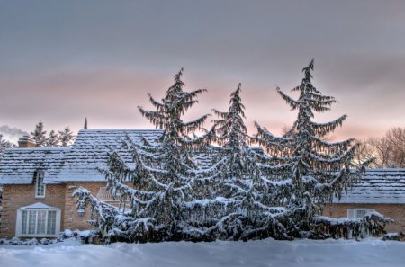 First light on a frosty winter morning - morning, winter, frosty, light