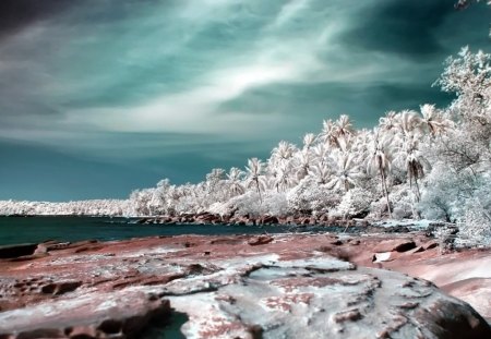 rocky mountain - beach, stones, trees, rocks