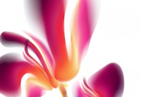 Subtility FLOWERS - orchid, cg