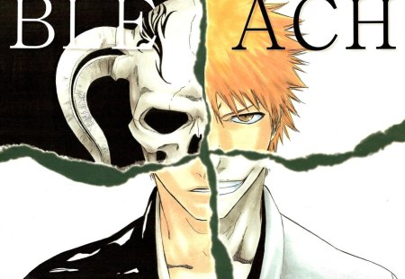 Bleach