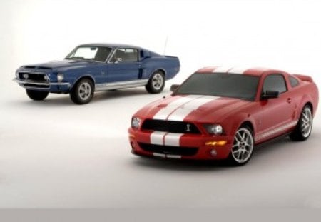 mustangs - mustangs, cars