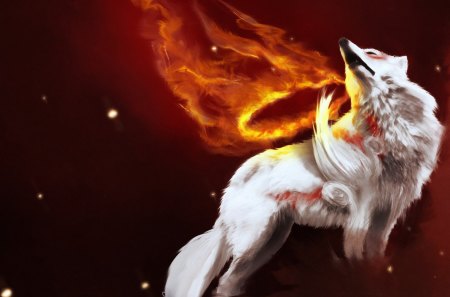 Okami