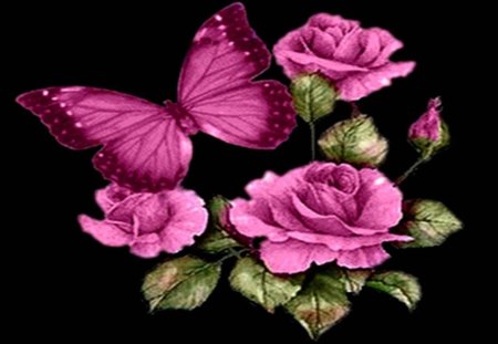 Butterfly and Roses - pink roses, on black, magenta butterfly