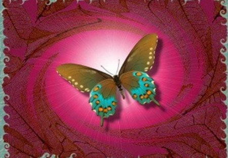 Butterfly on Magenta - butterfly, framed, magenta swirl background