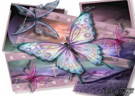 Collage Butterflies