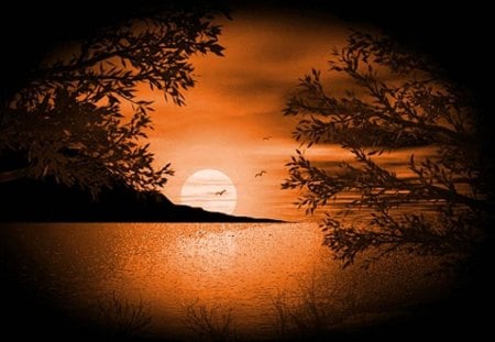 Shimmering Sunset - shimmering water, full moon, silhouette, trees, sunset