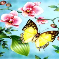 Butterfly of Spring