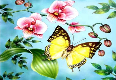 Butterfly of Spring - butterfly, orchids, spring, art