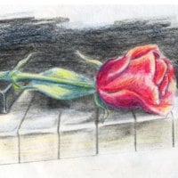 Piano Rose