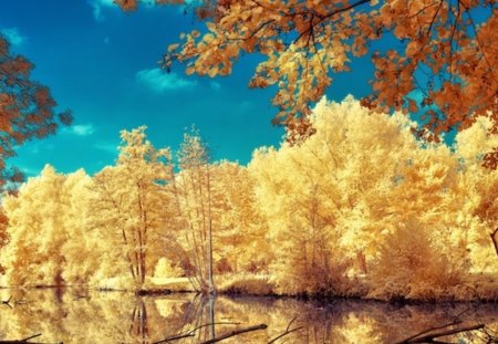 Autumn lake - colorful, autumn, splendor, lake, forest