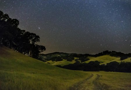 stary night - space, field, fun, stars