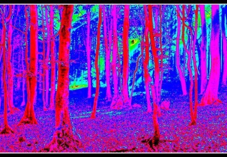 Forest on Mars - abstract, reds, blues, forest