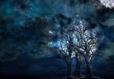 beautiful look at the stars - night sky, trees, stars, cosmos