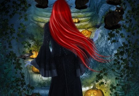 ✫Love Redhead Witch✫ - pretty, people, female, night, photomanipulation, emotional, leaves, dark, black cats, gorgeous, spiders, halloween, cats, women, moon, beautiful, digital art, models, colors, lovely, cool, pumpkin, hair, girls, witch, black, redhead, bright, animals, spiderweb