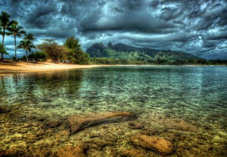 beach water. - water, beach, palm, sea