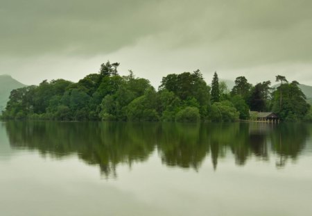 nature - water, tree, forest, river