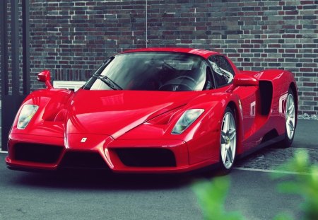 rojo Ferrari Enzo - red, enzo, wheel, ferrari