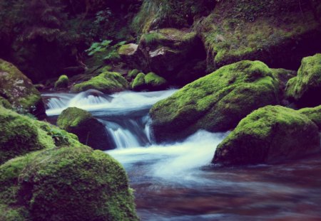 Stream - stream, nature, water, tree