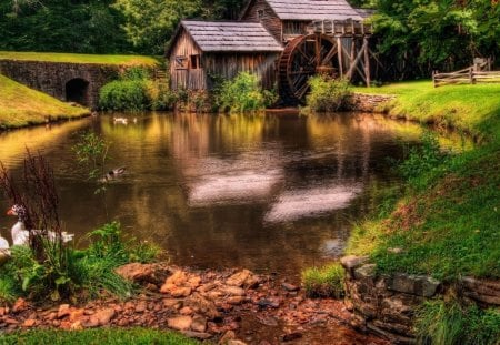 ~Cottage~ - farm, cottage, nature, landscape