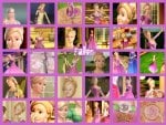 Fallon Barbie In The 12 Dancing Princesses