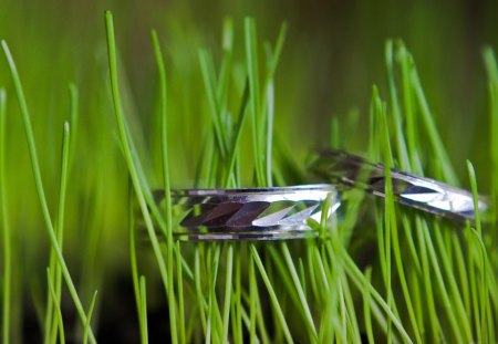 weddings - ring, silver, green, grass