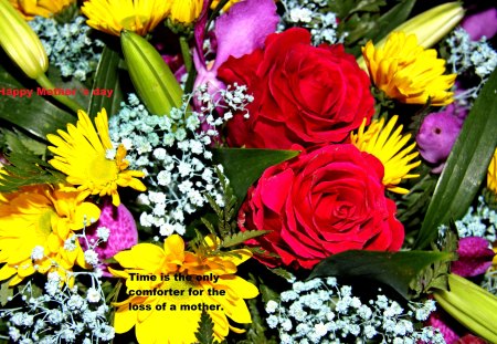 Time is the only comforter for the loss of a mother. - white, Yellow, Flowers, red, green, photography, Roses