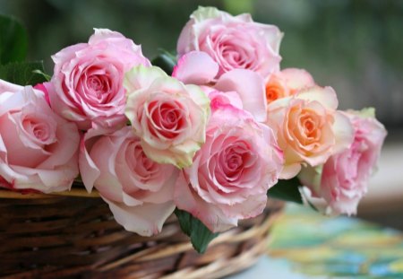 Basket of roses - basket, nature, blue, green, rose, orange, flower, pink