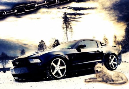 Mustang Edited